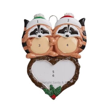 Racoon Couple