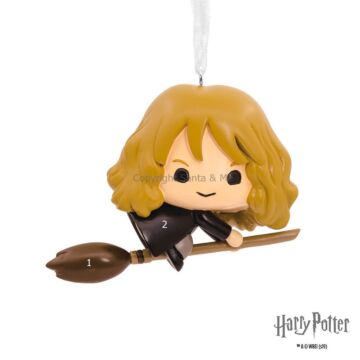 Harry Potter Hermione