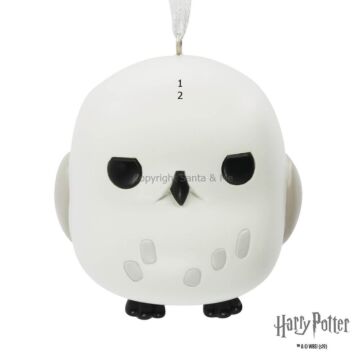 Harry Potter Hedwig