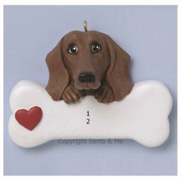Dachshund /Brown