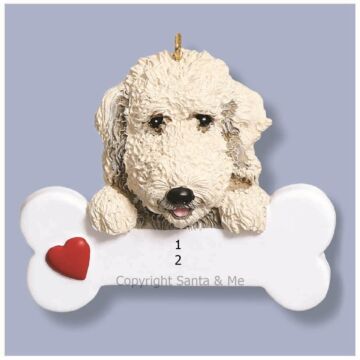 Labradoodle