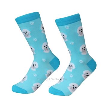 Bichon Frise /Socks - 800-4-Bischo - Santa & Me