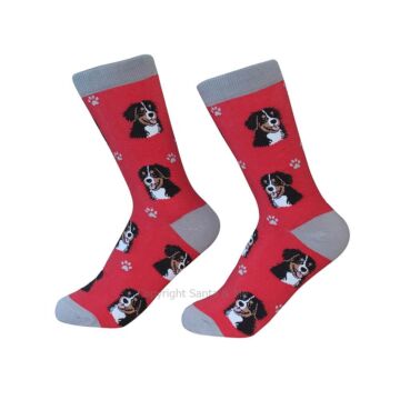Bernese Mt.Dog /Socks - 800-52-Berne - Santa & Me