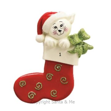 Cat in Stocking