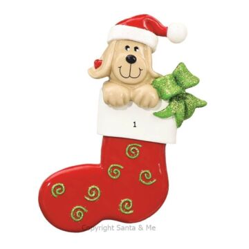 Dog in Stocking