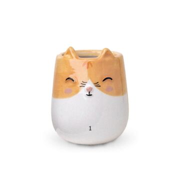 Cat Pot