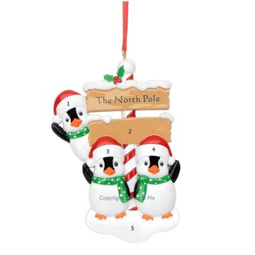 Penguin At The North Pole / 3