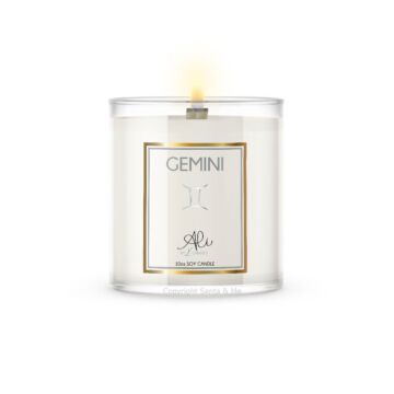 Gemini (10oz Candle)