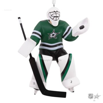 Goalie - Dallas Stars