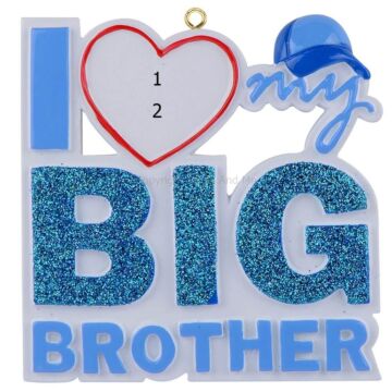I Love My Big Brother