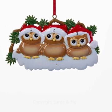 Owl Family / 3