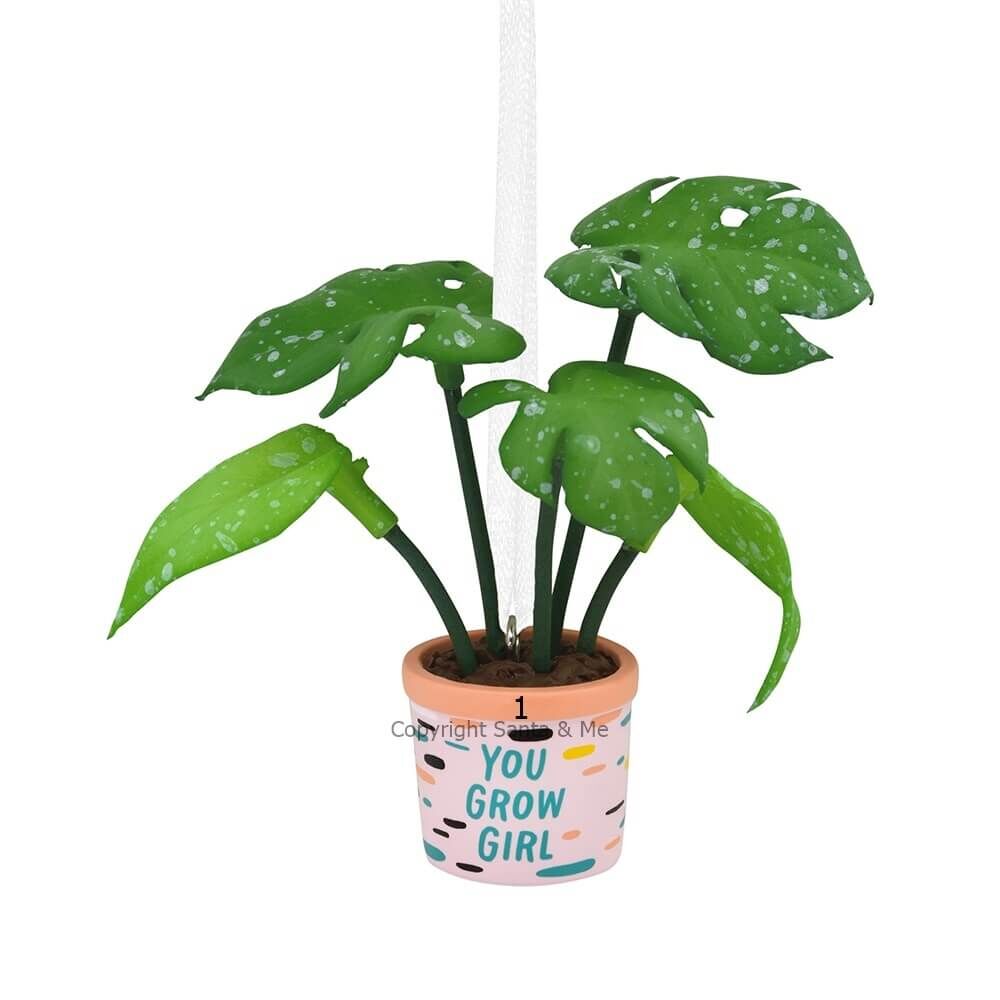 Plant Lady