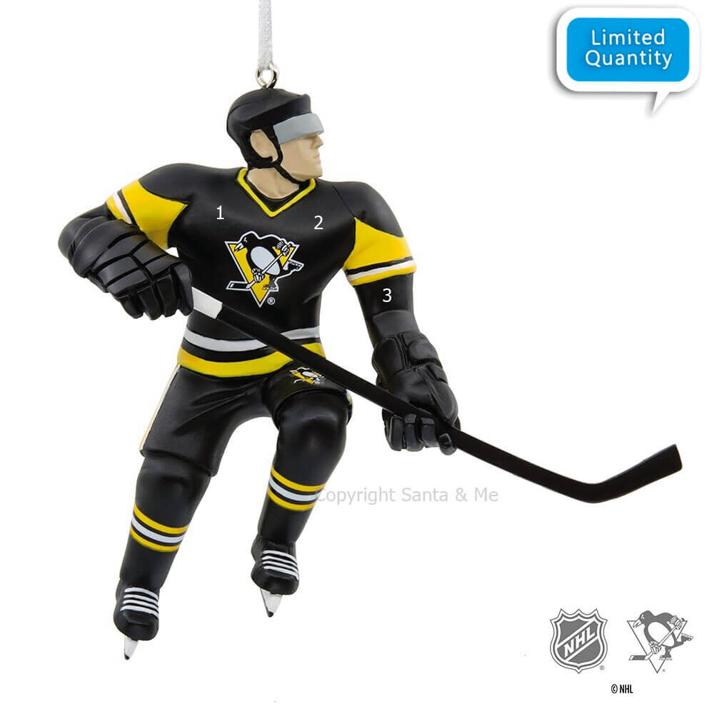 Pittsburgh Penguins - Hockey