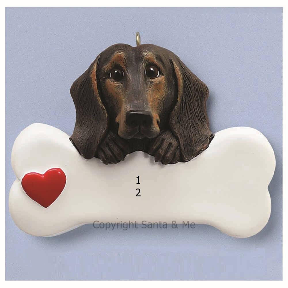 Dachshund /Black