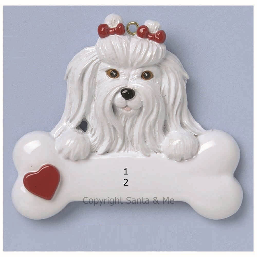 Maltese
