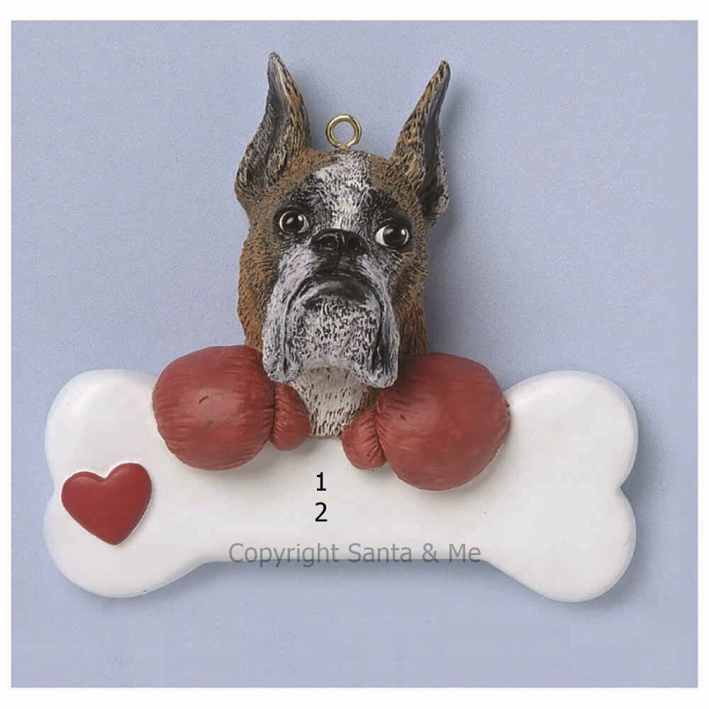 Boxer