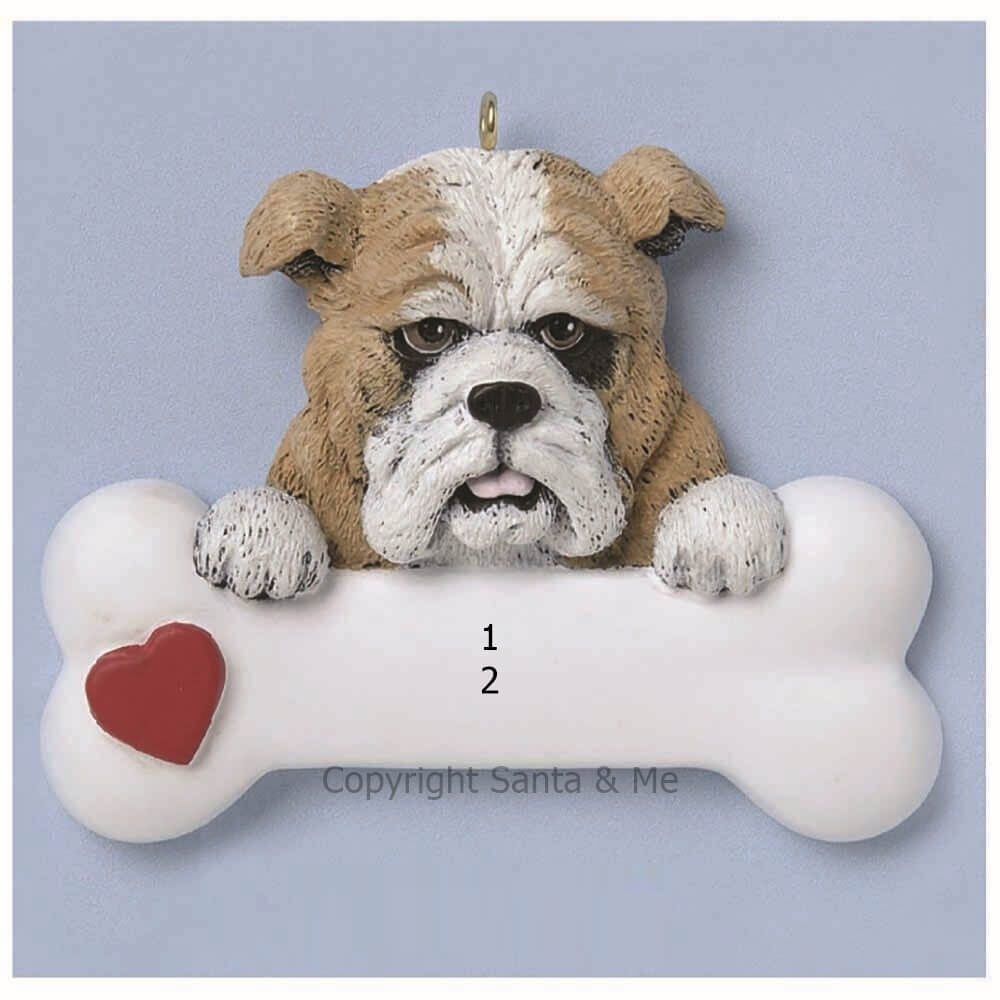 Bulldog
