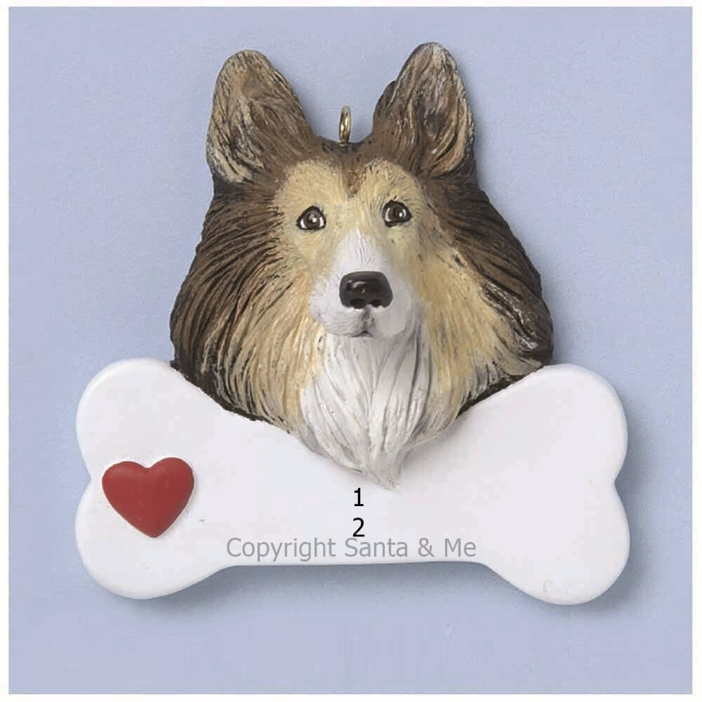 Collie