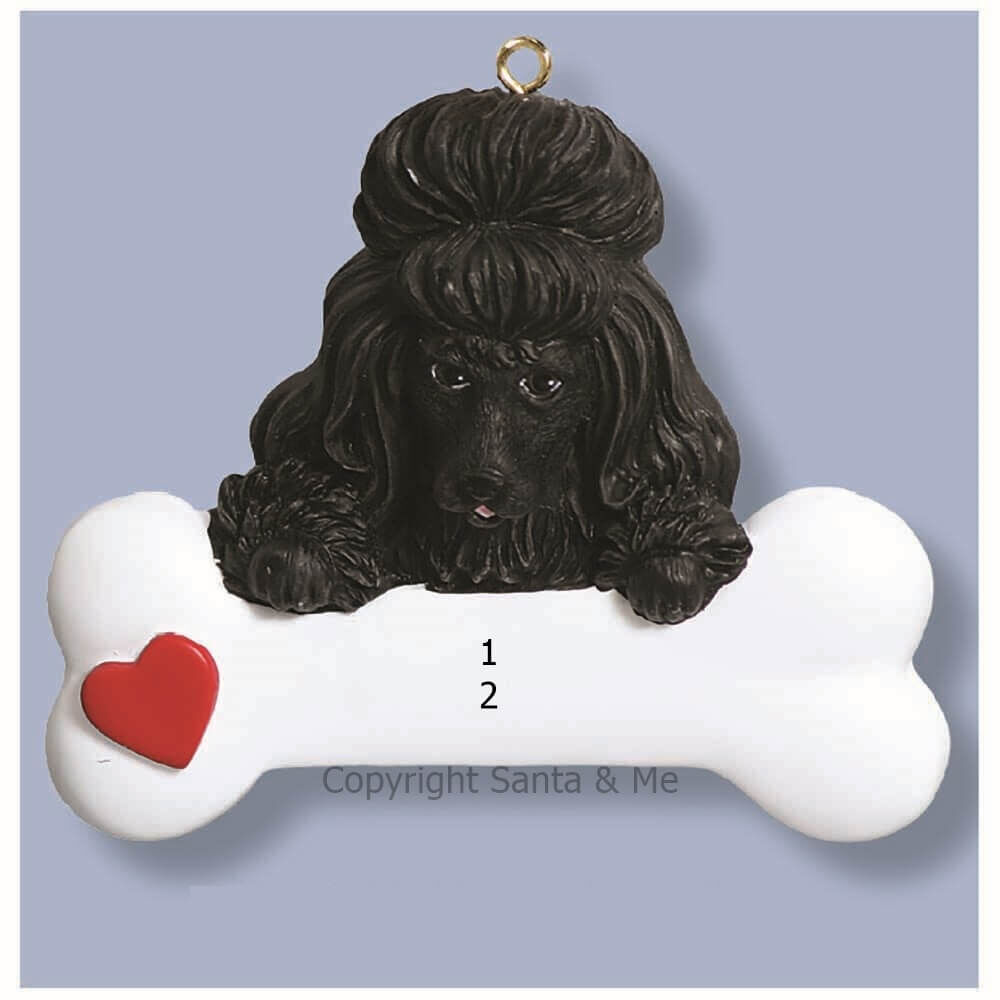 Poodle/ Black