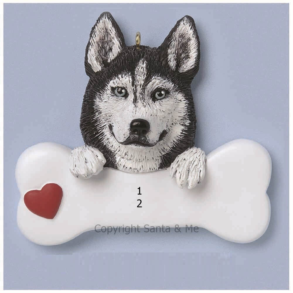 Siberian Husky