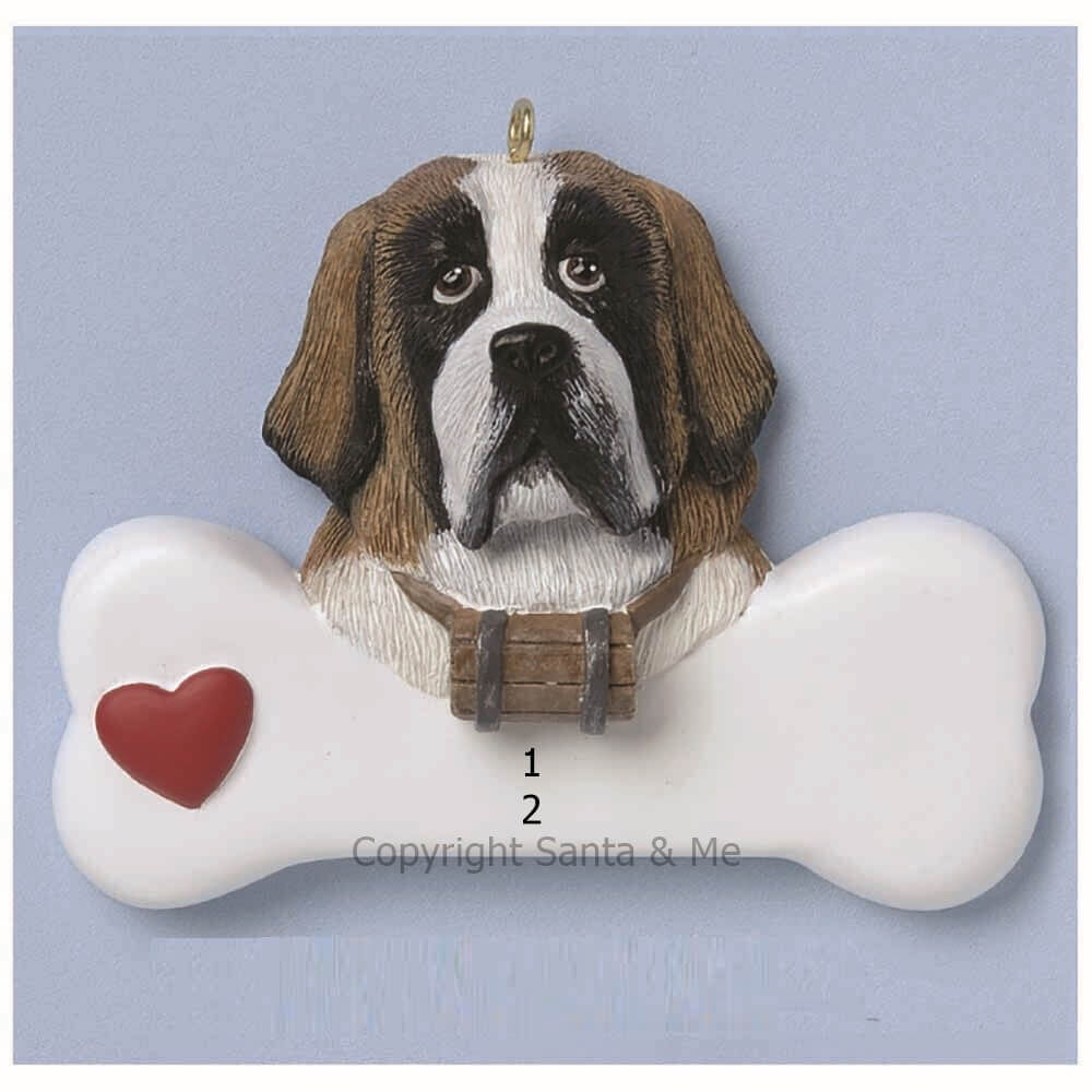 St. Bernard