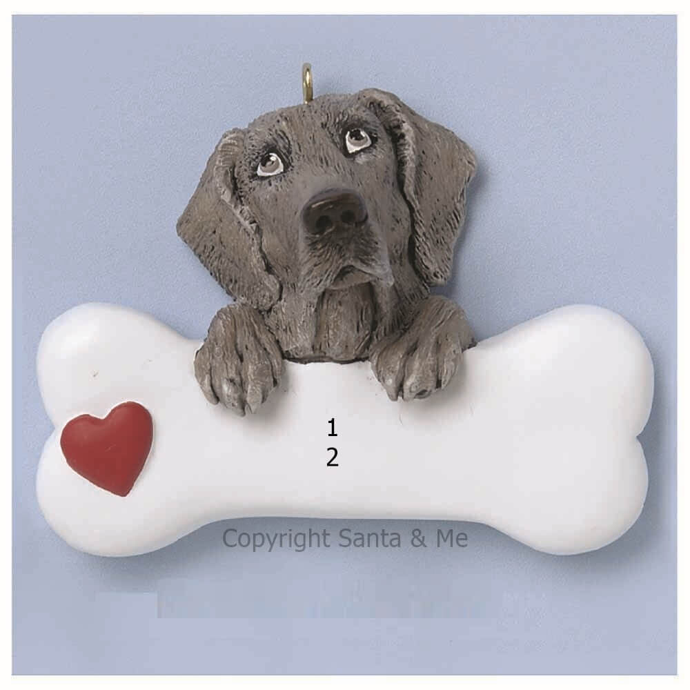 Weimaraner