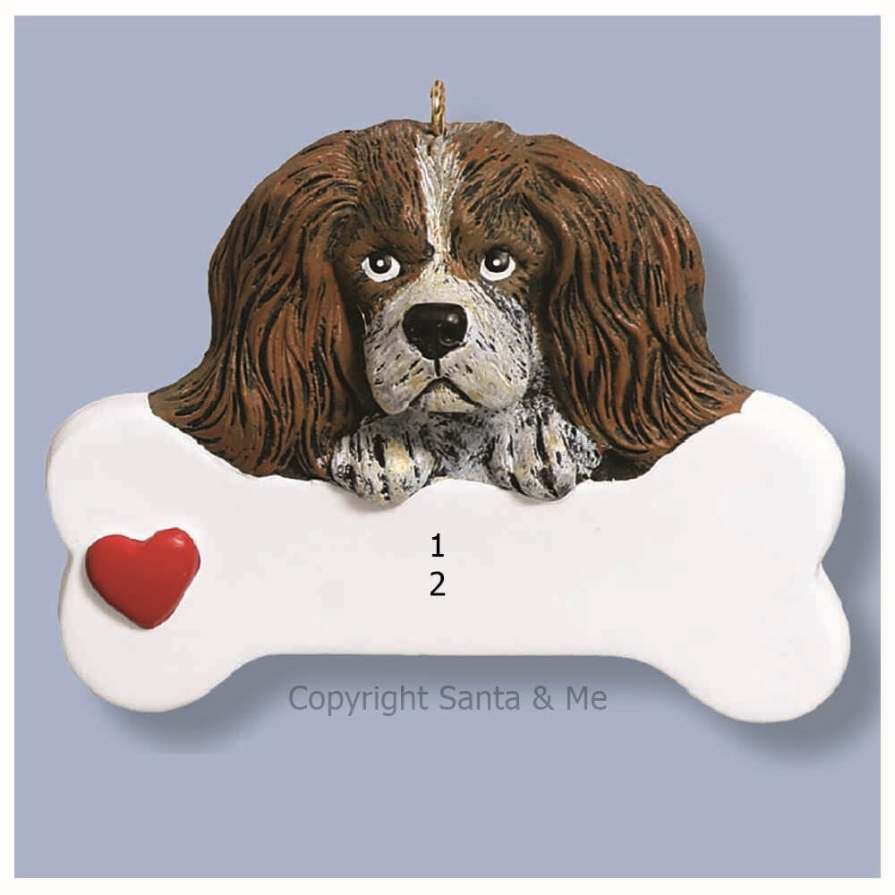 King Charles Spaniel