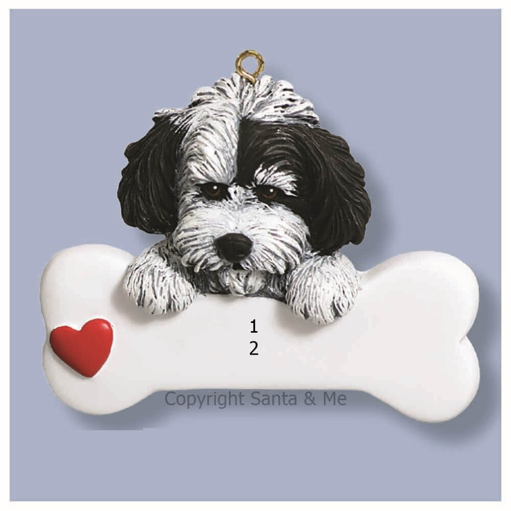 Havanese