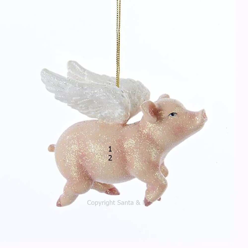 Flying Pig