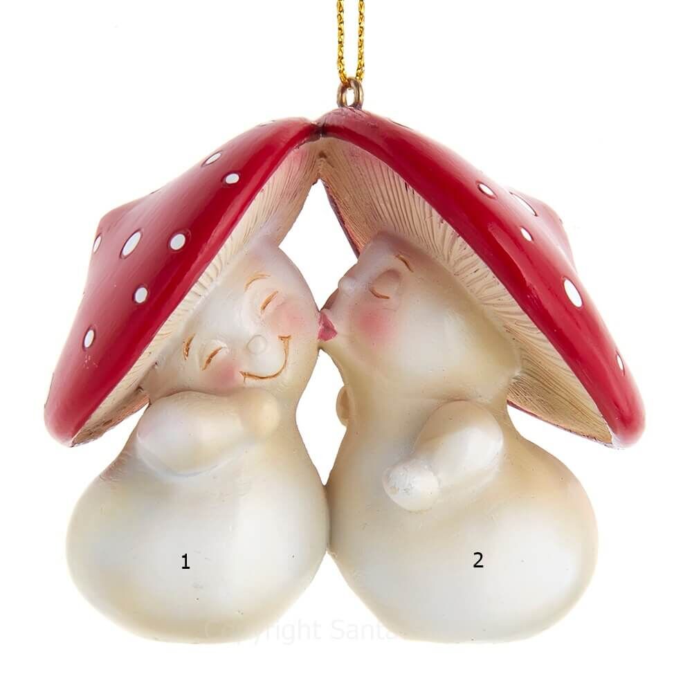 Mushroom Kissing Couple