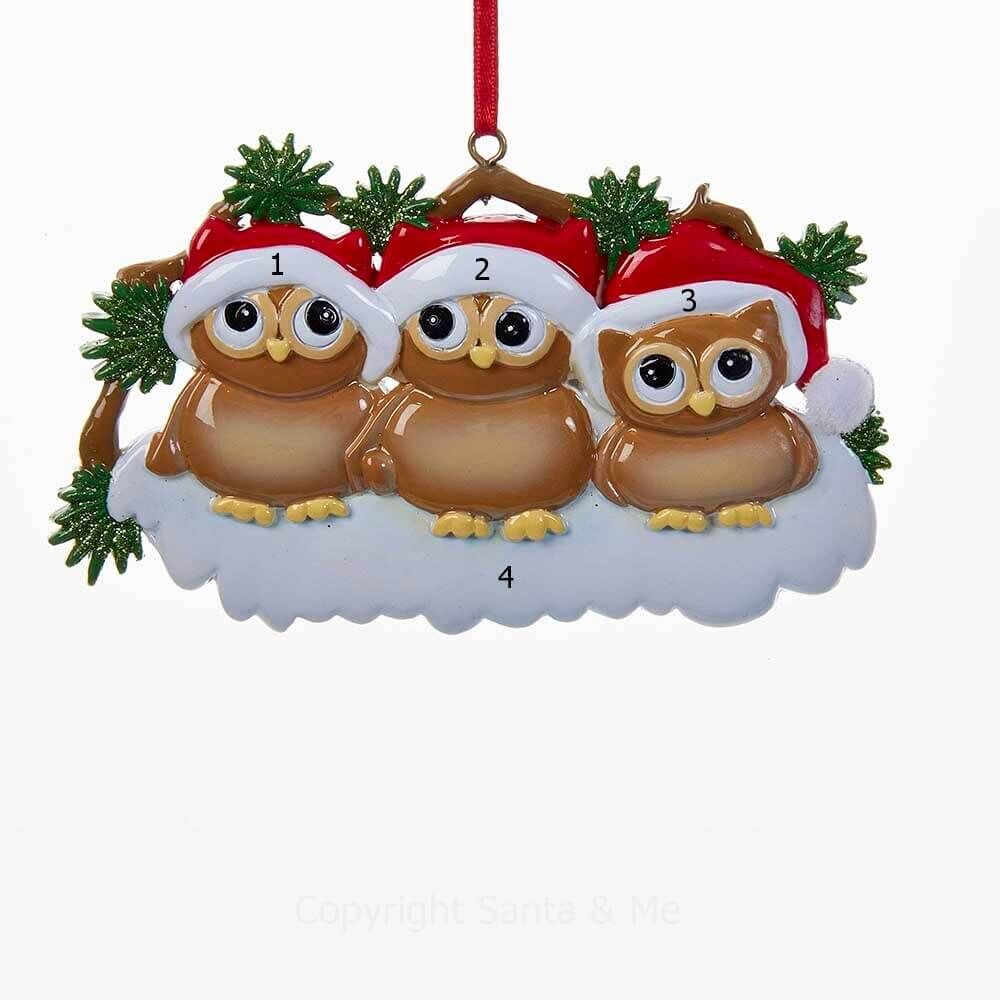 Owl Family / 3