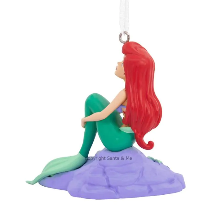 Ariel On Rock