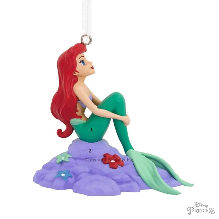 Ariel On Rock
