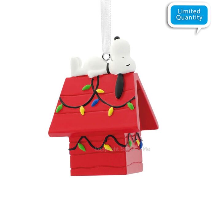 Snoopy On Doghouse