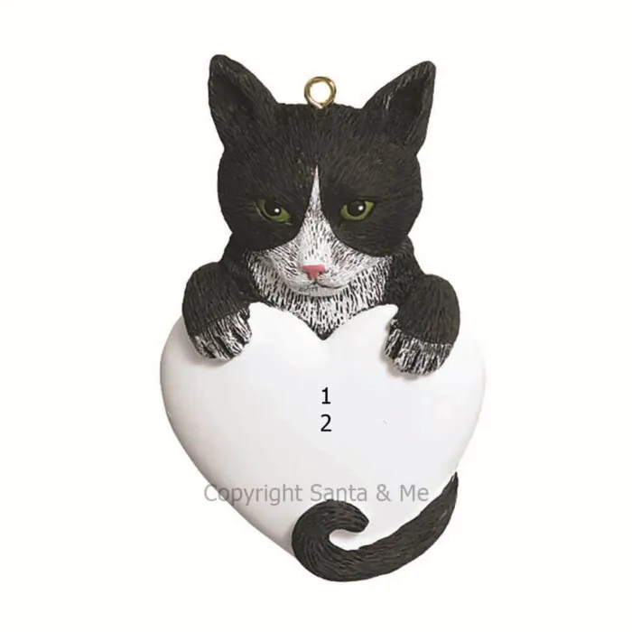 Tuxedo Cat Tuxedo Cat