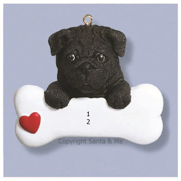 Pug/ Black Pug/ Black