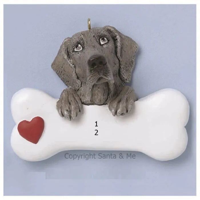 Weimaraner