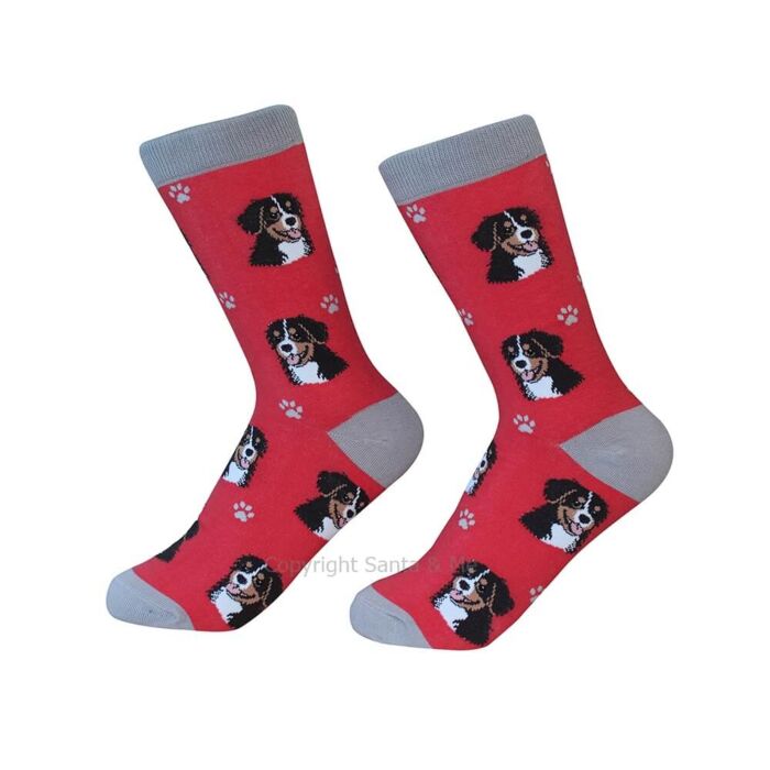 Bernese Mt.Dog /Socks - 800-52-Berne - Santa & Me Bernese Mt.Dog /Socks - 800-52-Berne - Santa & Me