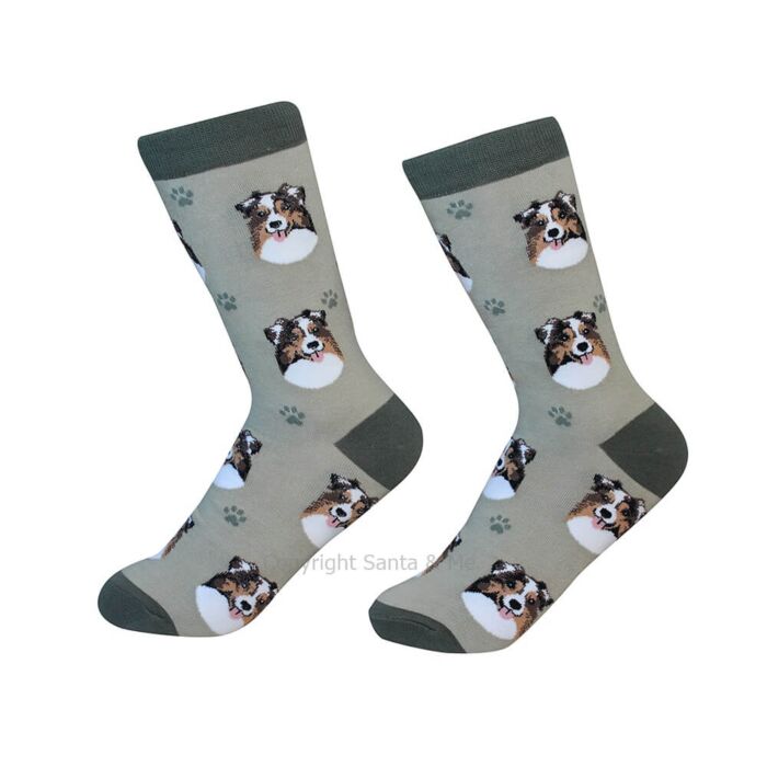 Australian Shepherd /Socks - 800-53-Austr - Santa & Me Australian Shepherd /Socks - 800-53-Austr - Santa & Me