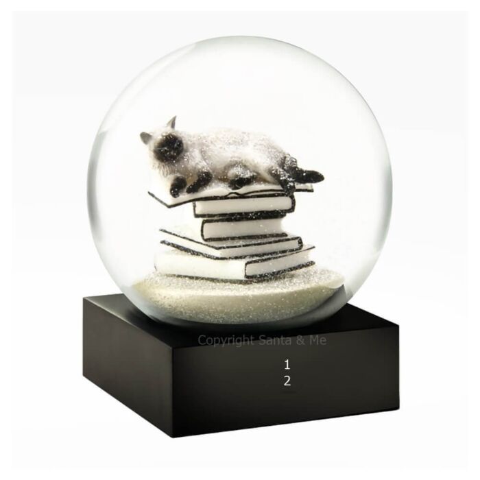 Cat on Books - Snow Globe - CS205-Cat - Santa & Me