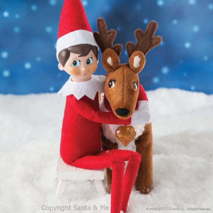 English - Elf Pets A Reindeer Tradition