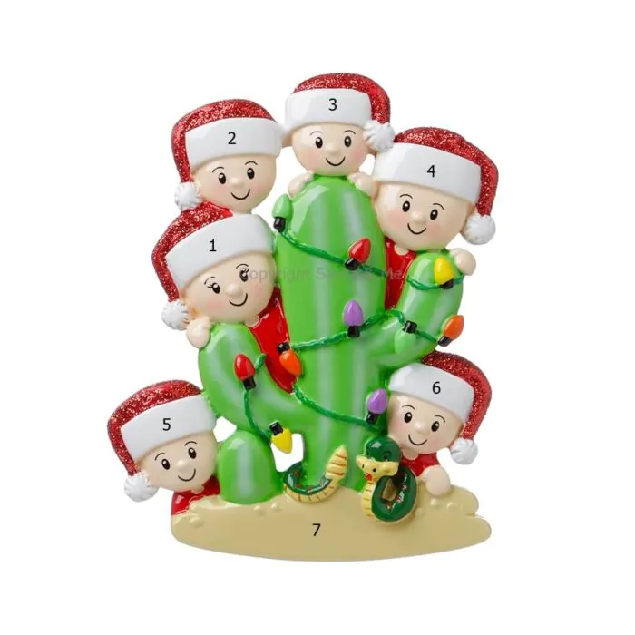Cactus Family /6 Cactus Family /6