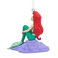 Ariel On Rock thumbnail