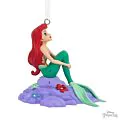 Ariel On Rock thumbnail