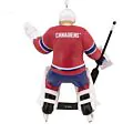 Goalie - Montreal Canadiens thumbnail