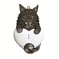 Maincoon Cat thumbnail