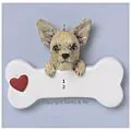 Chihuahua thumbnail