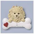 Pomeranian thumbnail
