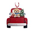 Labradoodle Christmas thumbnail
