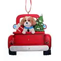Brown Shish-tzu Christmas thumbnail